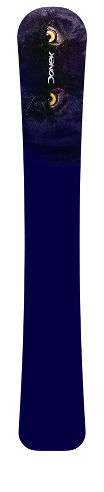 Donek.com Custom Snowboards